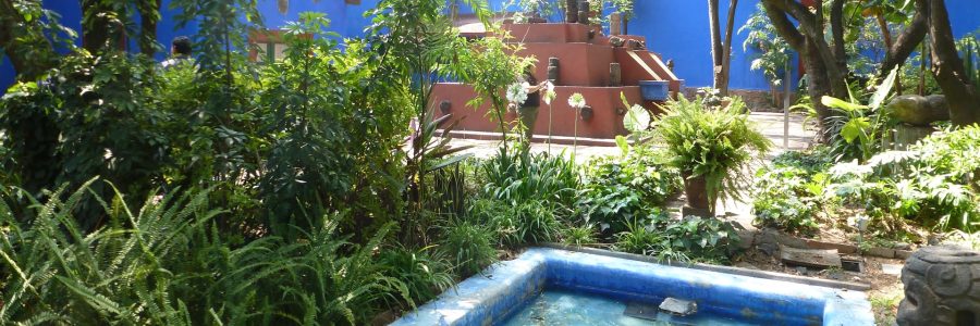 La Casa Azul, como llegar al Museo Frida Kahlo, donde comer en Coyoacán y el Jardín Japonés Secreto